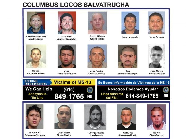 Ms 13 Gang Bust In Ohio Has Central Indiana Connection Indianapolis News Indiana Weather