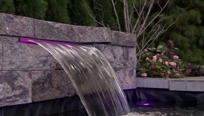 A Look At The Indiana Flower And Patio Show Wish Tv