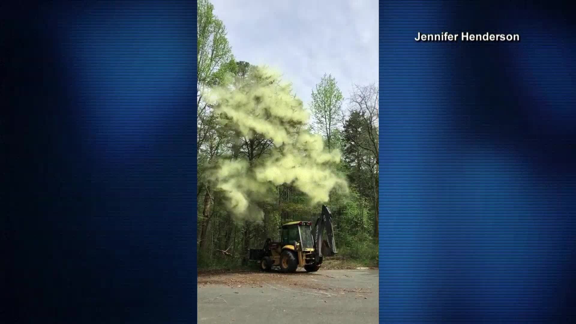 Houston, Southeast Texas cedar pollen spike affecting allergies | khou.com