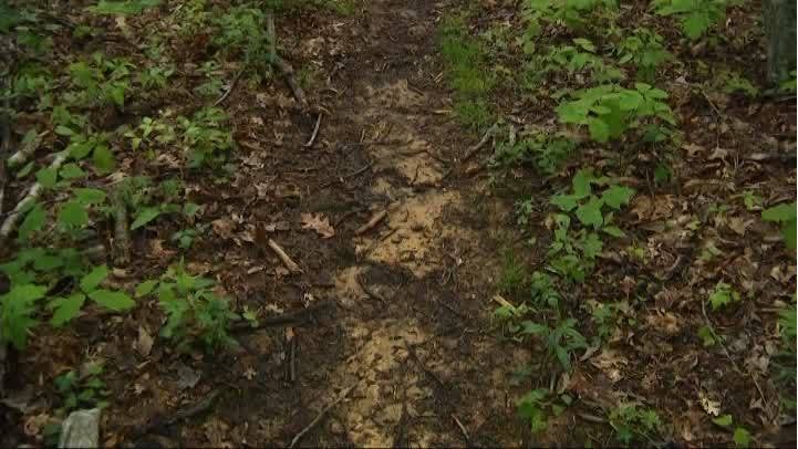 Sheriff says machete used in attacks on Appalachian Trail - WISH-TV ...