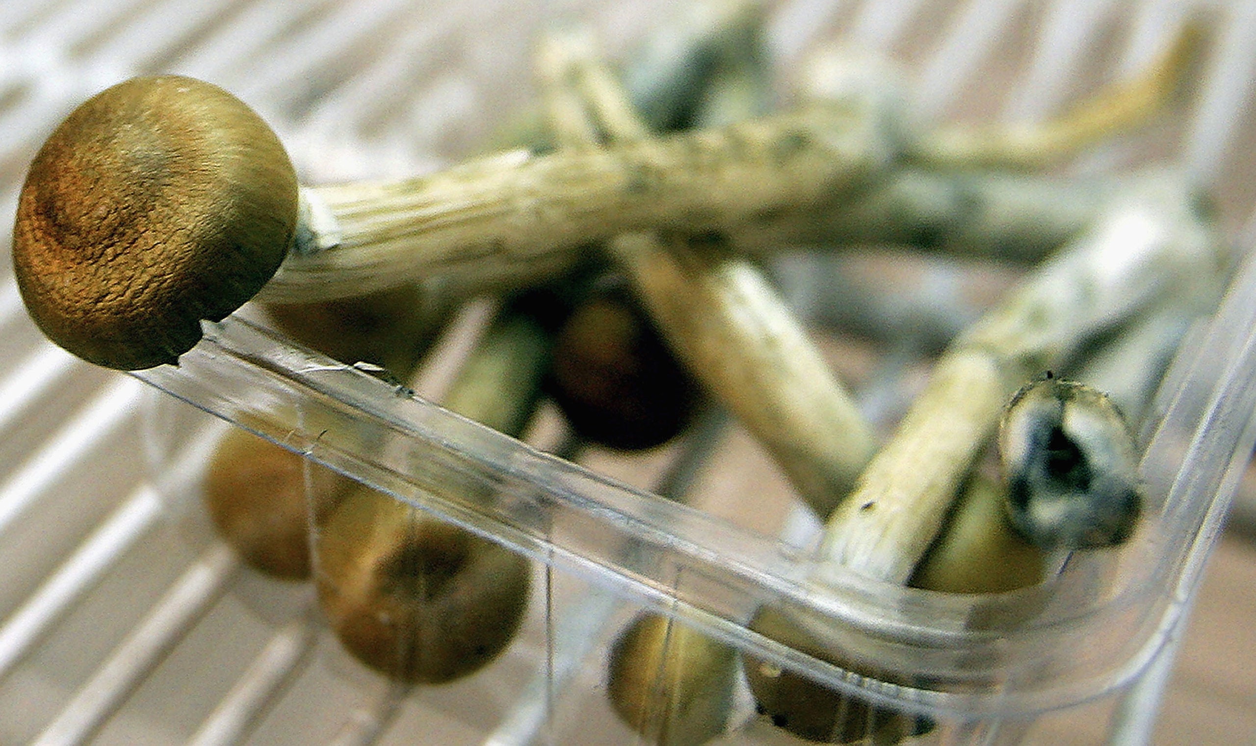 One Dose Of Magic Mushroom Drug Reduces Anxiety And Depression In Cancer Patients Study Says Wish Tv Indianapolis News Indiana Weather Indiana Traffic