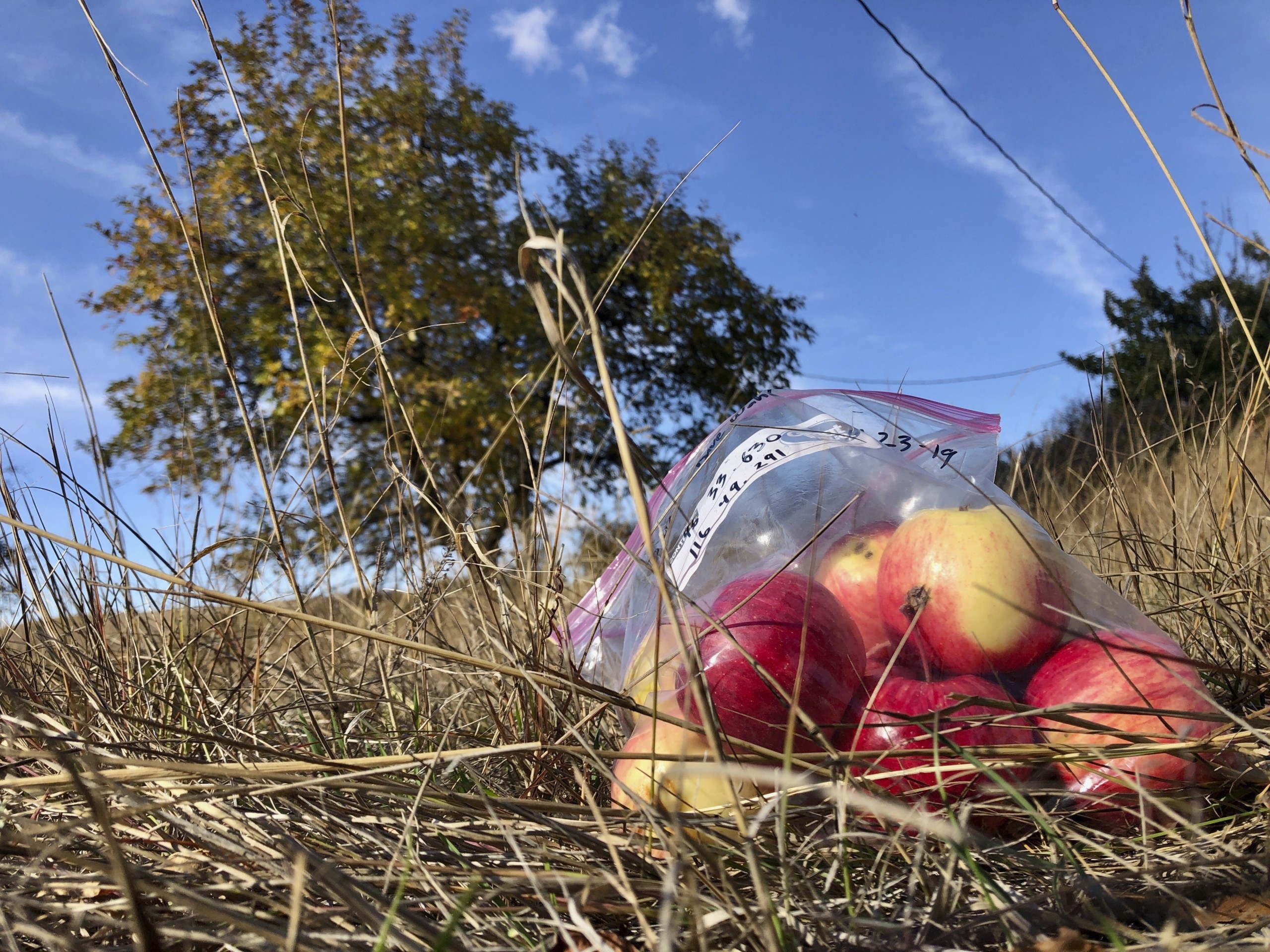 Indianapolis Moms: Guide to apple orchards and fun