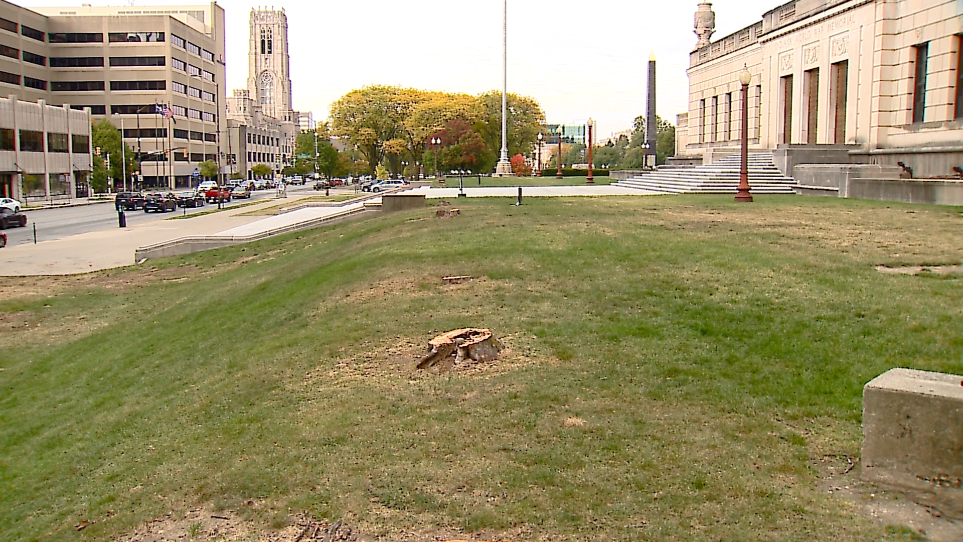 War Memorials Commission starts replacing trees around historic Indianapolis landmark