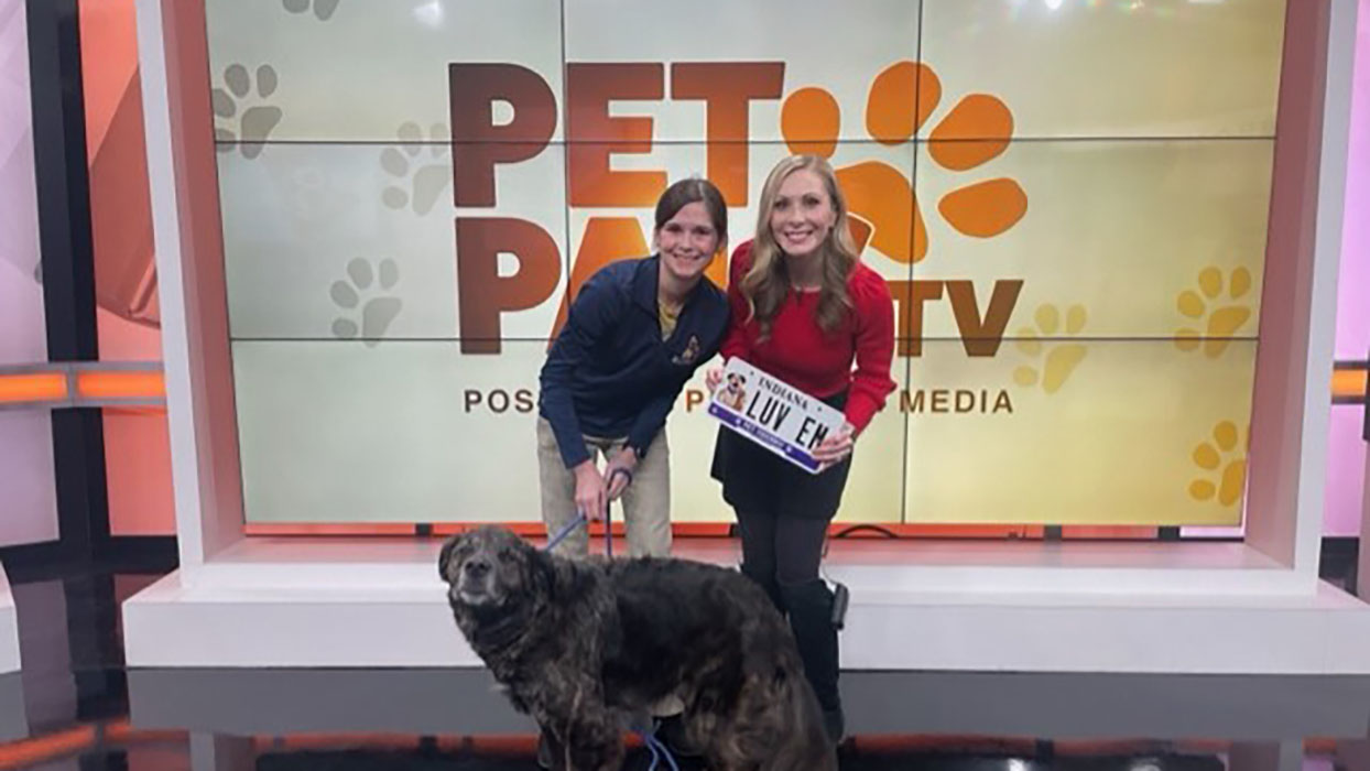 Pet Pals TV: Pit Mix Fix