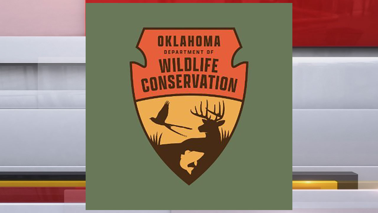 Wildlife Conservation Logo Vector Stock Vector - Illustration of card,  horn: 173782824