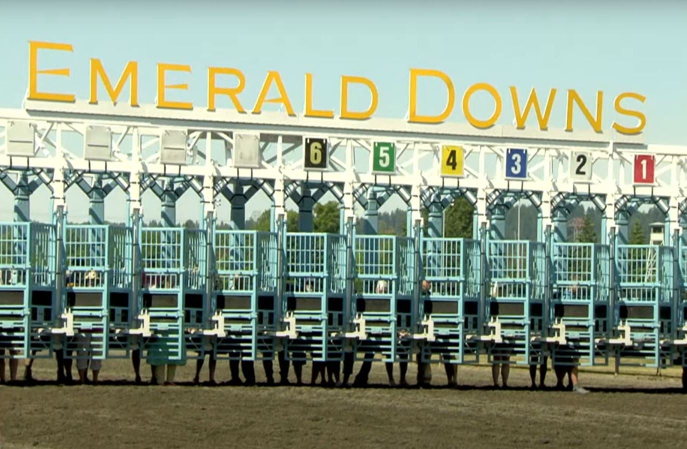 Washington racetrack hosts firstever Grandparents Race TrendRadars