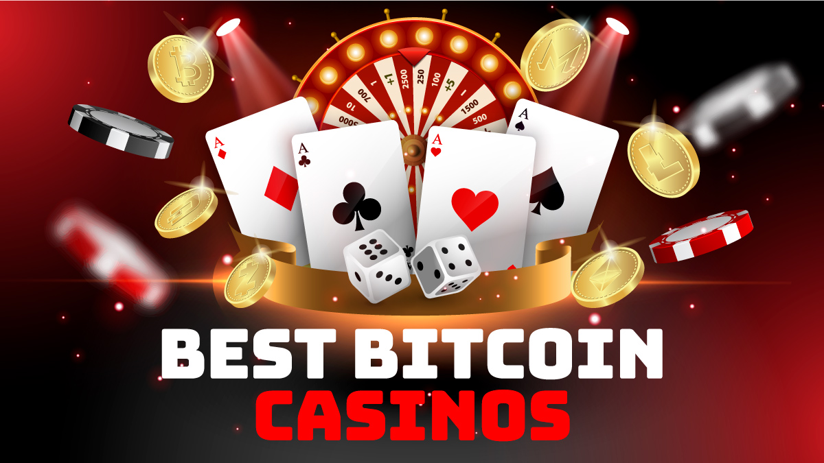 From Hobby to Profession: Turning bitcoin casino no deposit bonus into Income
