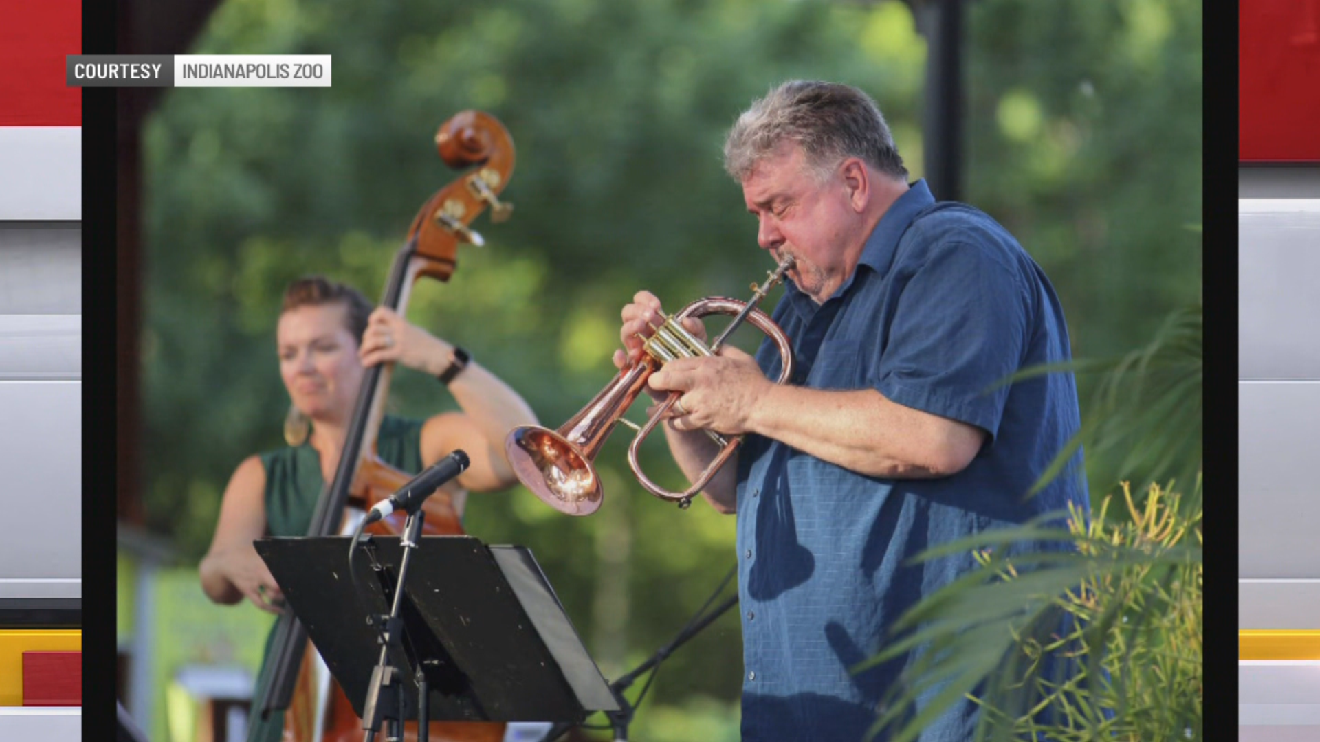 ‘Pet Pals TV’: Indianapolis Zoo’s ‘Animals and All That Jazz’