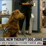 Officer Gus: Police department welcomes new therapy dog