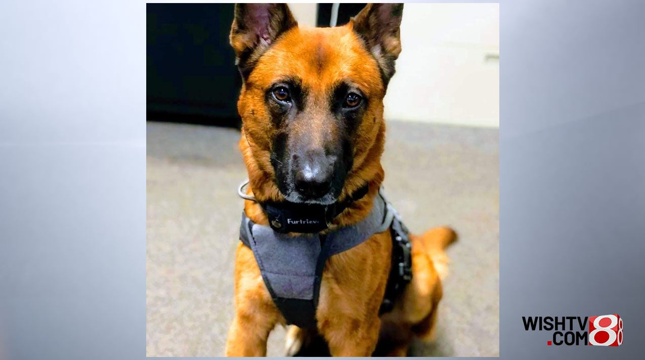 Indiana State Police Dog That Helped Seize $3.3M In Drugs Retires ...