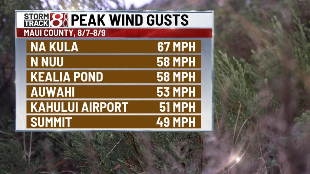 College Football Week 1 Weather Report: Wind in Hawaii Makes for