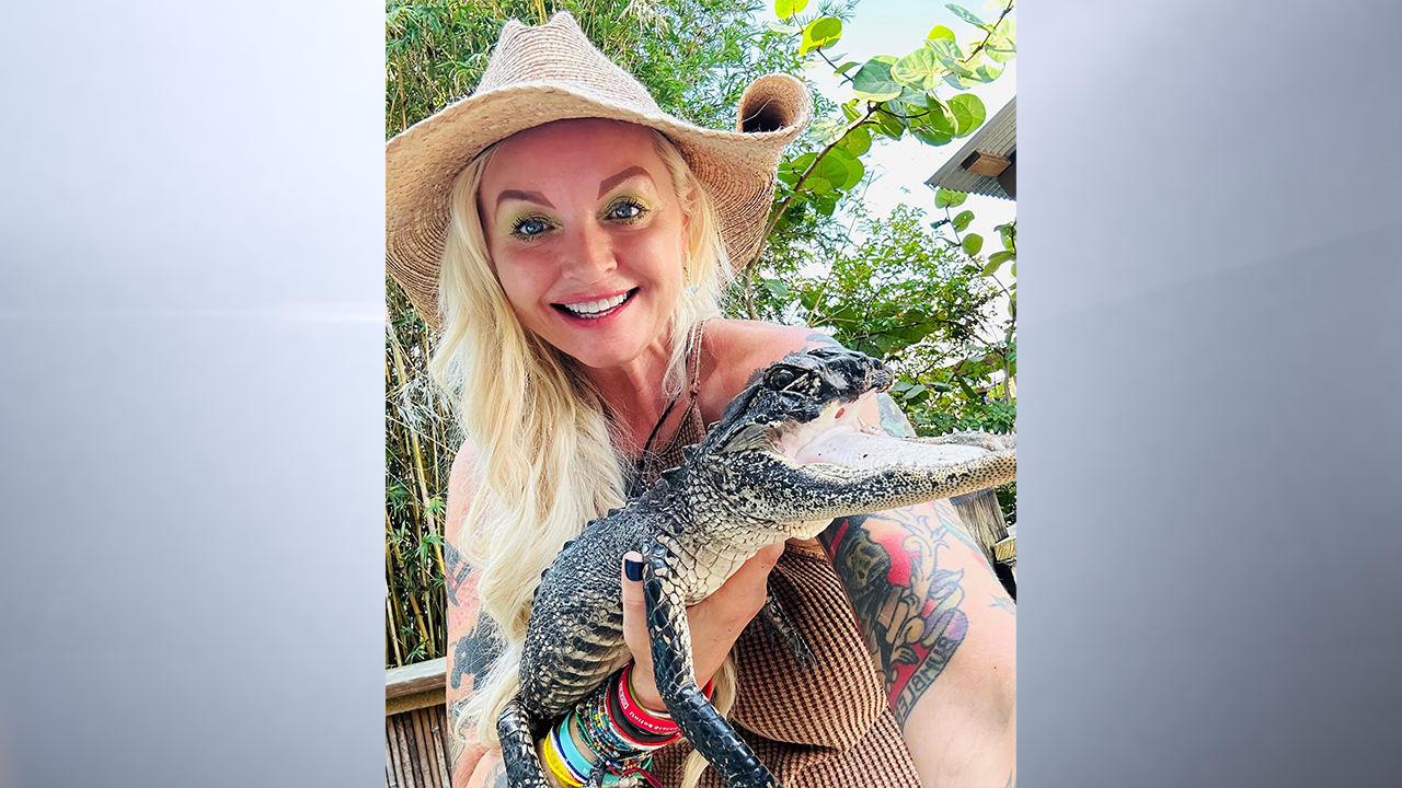 This photo posted on the Gatorland Facebook page on Saturday, Sept. 16, 2023 shows Savannah Boan, Crocodilian Enrichment Coordinator at the Gatorland theme park in Orlando, Fla., holding an alligator with a missing upper jaw that was that was rescued and brought to the park to be cared for. (Gatorland Facebook.com via AP)