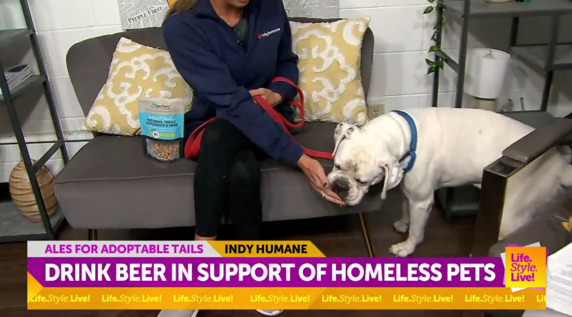 Drink beer to support Indy adoptable animals