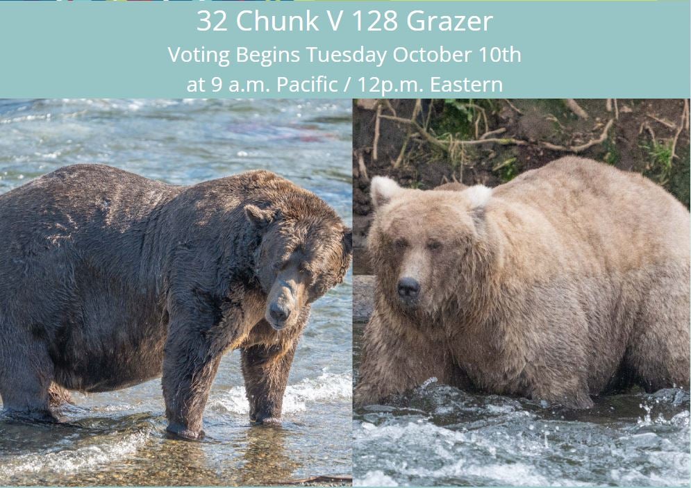 Chunk and Grazer are the two finalists in Fat Bear Week 2023.