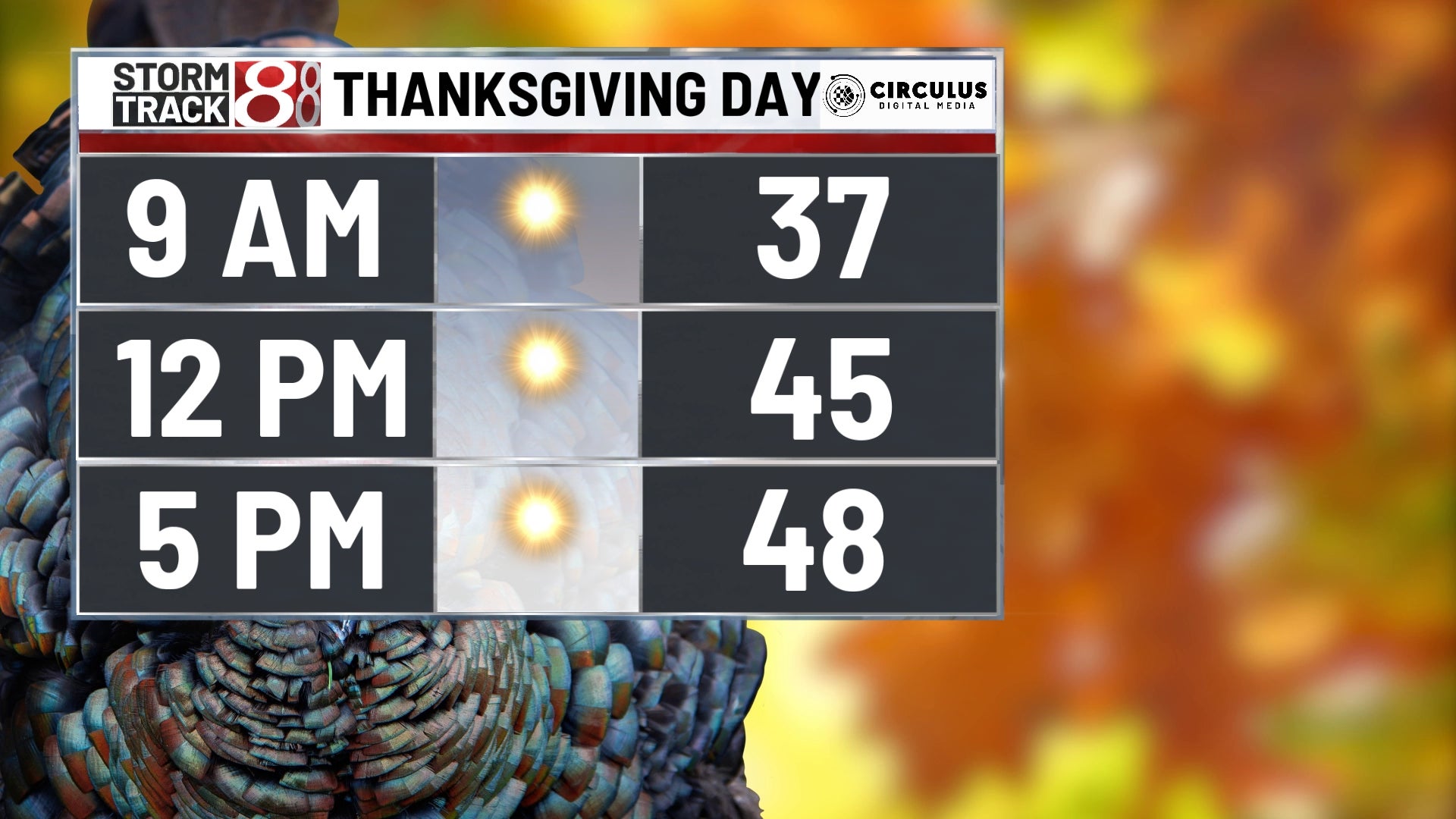 Christmas vs thanksgiving