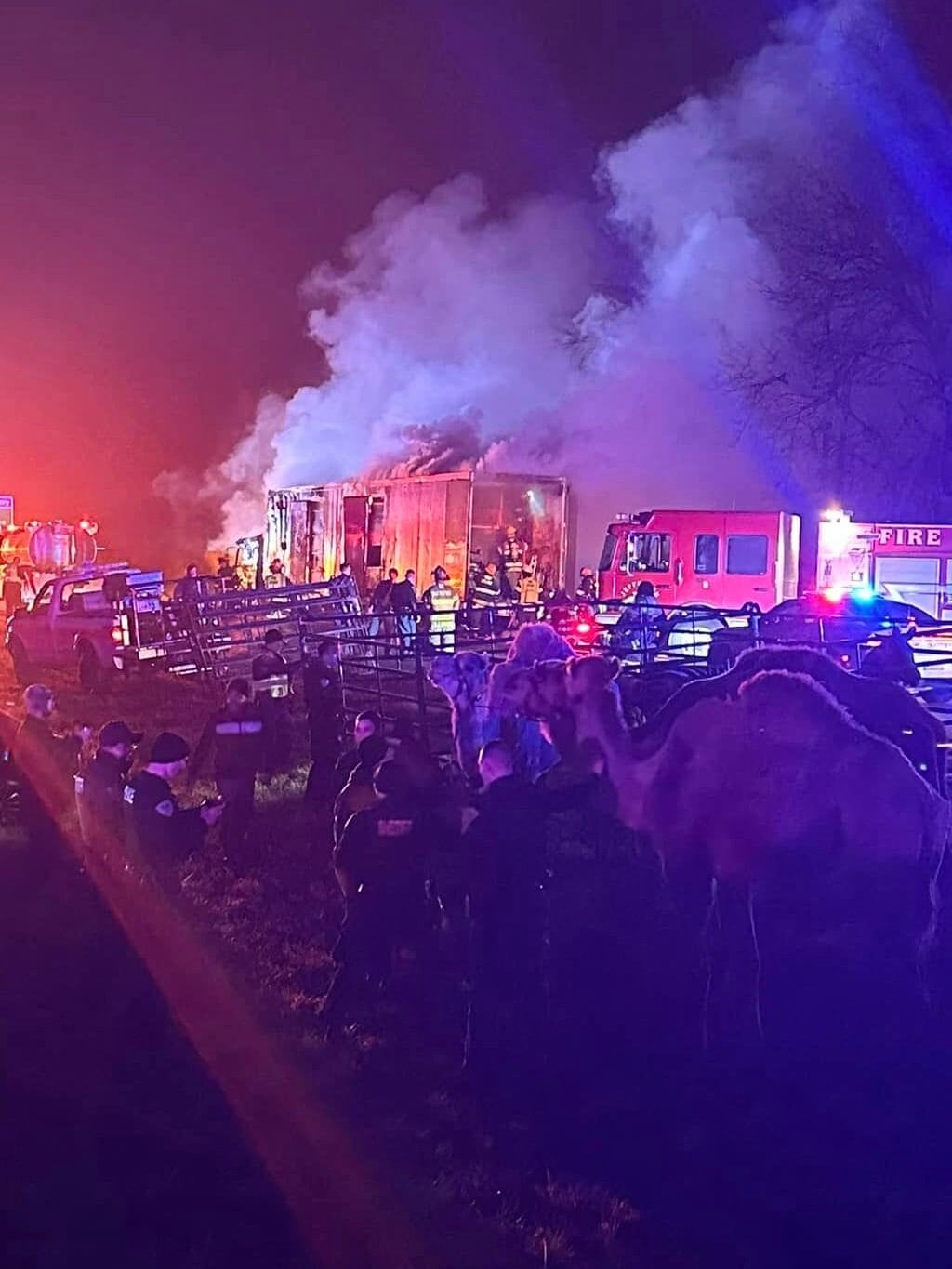 A semi-truck carrying zebras, camels, and a pony caught fire Saturday morning, closing the northbound lane of Interstate 69 in Grant County on Jan. 27, 2023. (Provided Photo/Grant County Sheriff's Office)