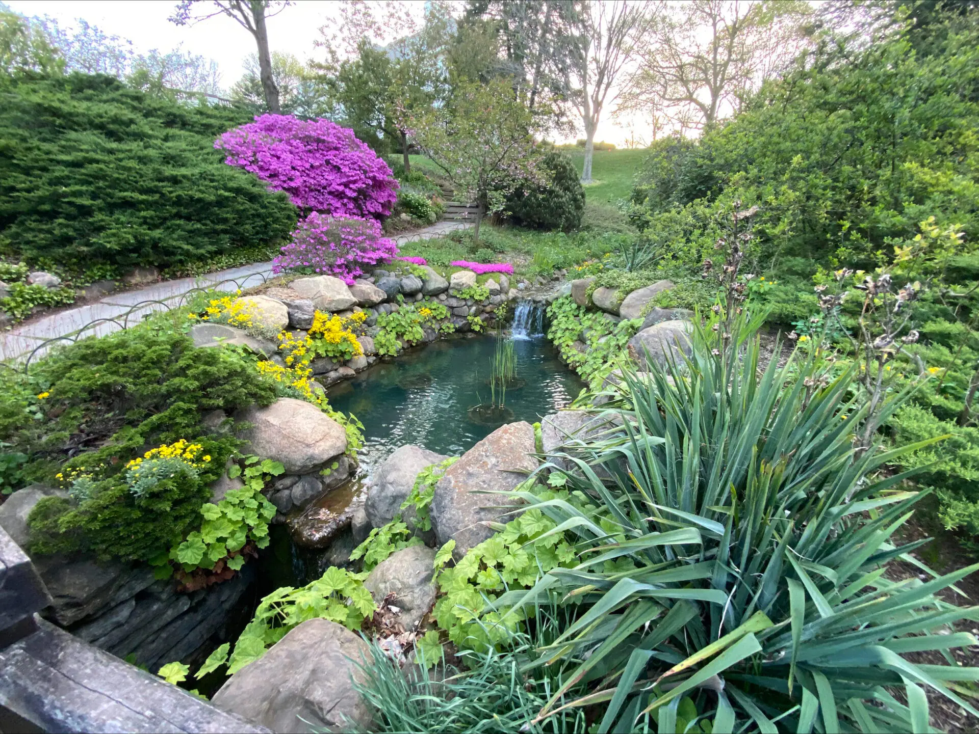 More than 40,000 bulbs are in bloom at The Garden at Newfields for Spring Blooms. The exhibit runs through May 12. (WISH Photo/Colin Baillie)