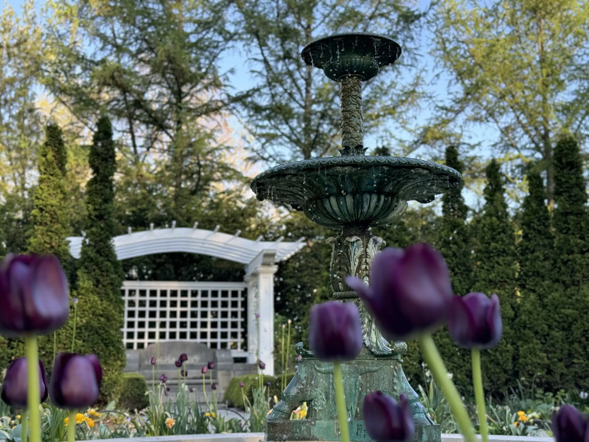 More than 40,000 bulbs are in bloom right now at The Garden at Newfields for Spring Blooms. The exhibit runs through May 12. (WISH Photo/Danny Quijano)