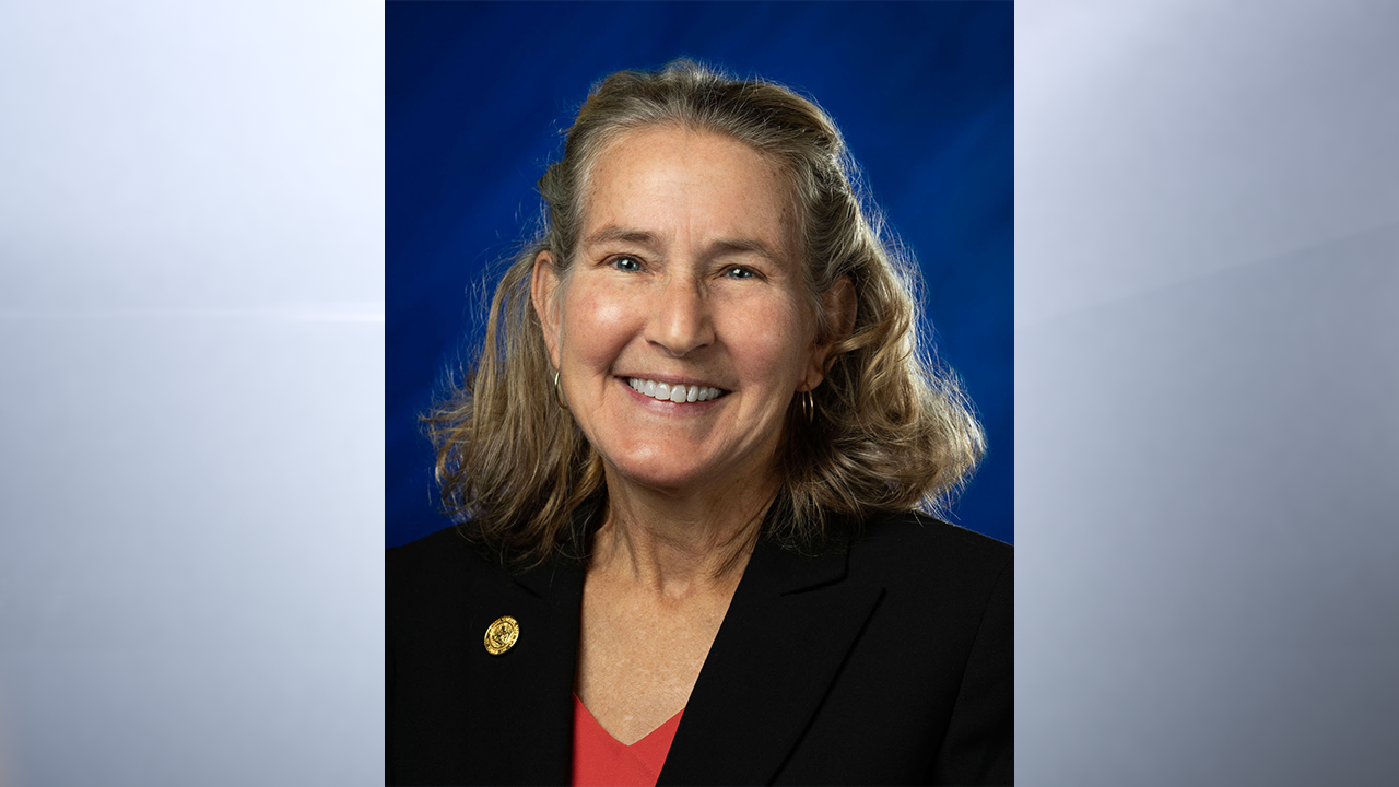 Indiana state Rep. Rita Fleming announced Monday that she is retiring, citing a desire to spend more time with her family. (Provided Photo/Indiana House Democrats)