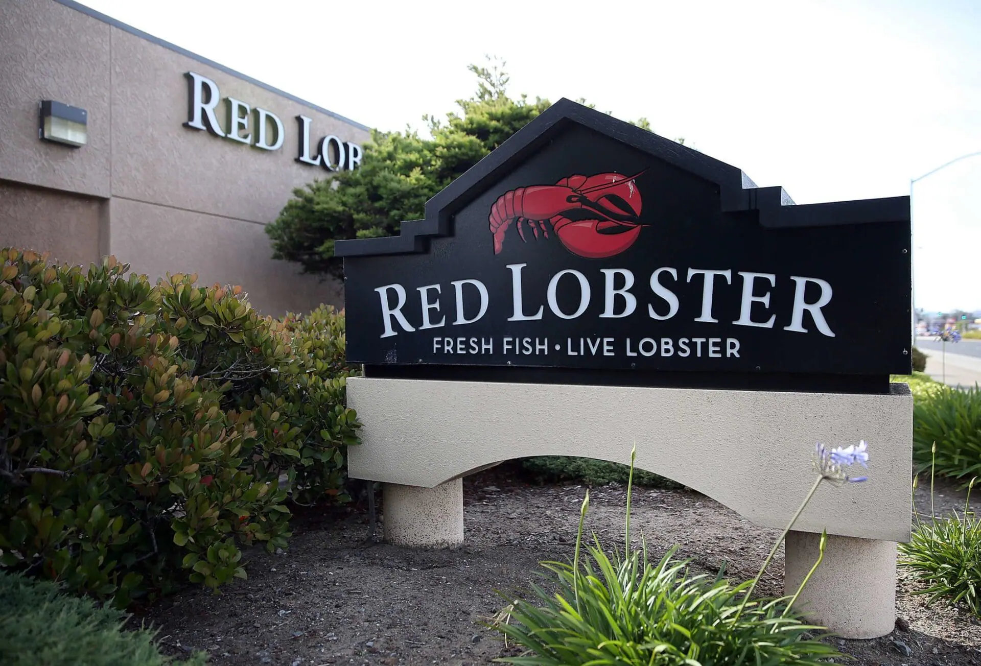 Red Lobster is closing dozens of restaurants in the United States, including one in Indianapolis and one in Elkhart, Indiana. (Getty Images via CNN Newsource)