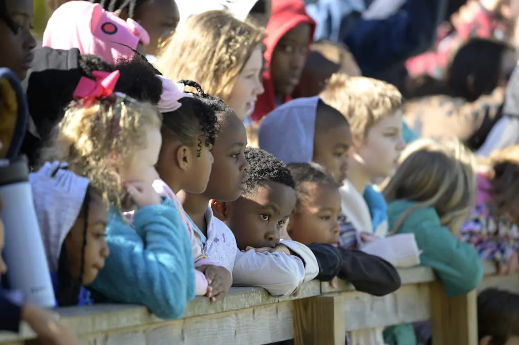 Children watch as rescue personnel carry a manatee to the water during a mass release of rehabilitated manatees at Blue Spring State Park, Monday, Feb. 13, 2023, in Orange City, Fla.