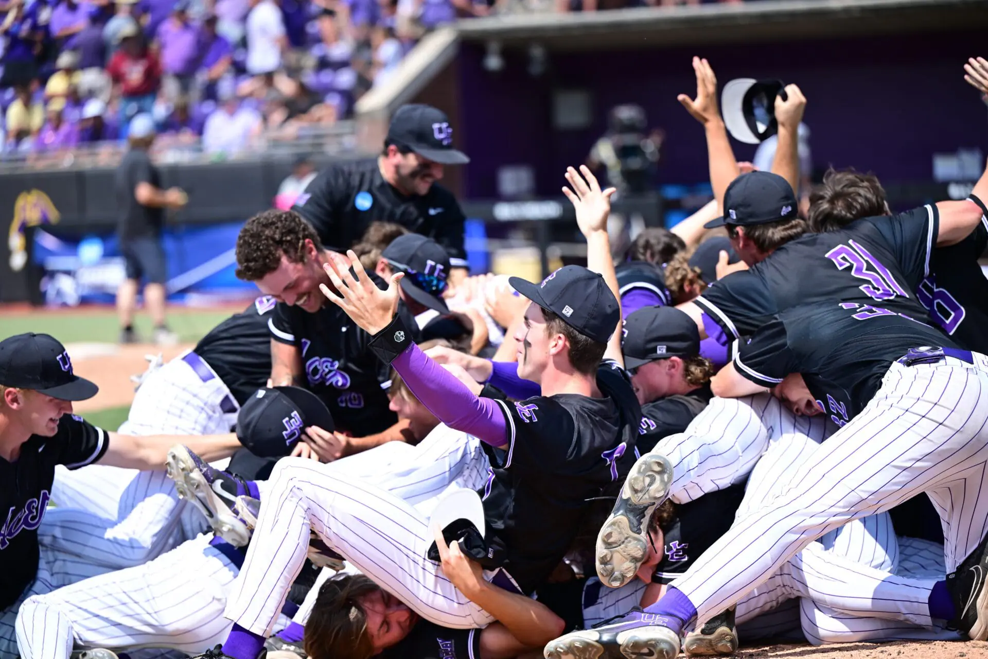 Evansville took down No. 16 national seed Eastern Carolina 6-5 on Monday, winning its first regional championship and punching a ticket to play No. 1 overall seed Tennessee in the Knoxville Super Regional. (Provided Photo/University of Evansville Purple Aces via X)