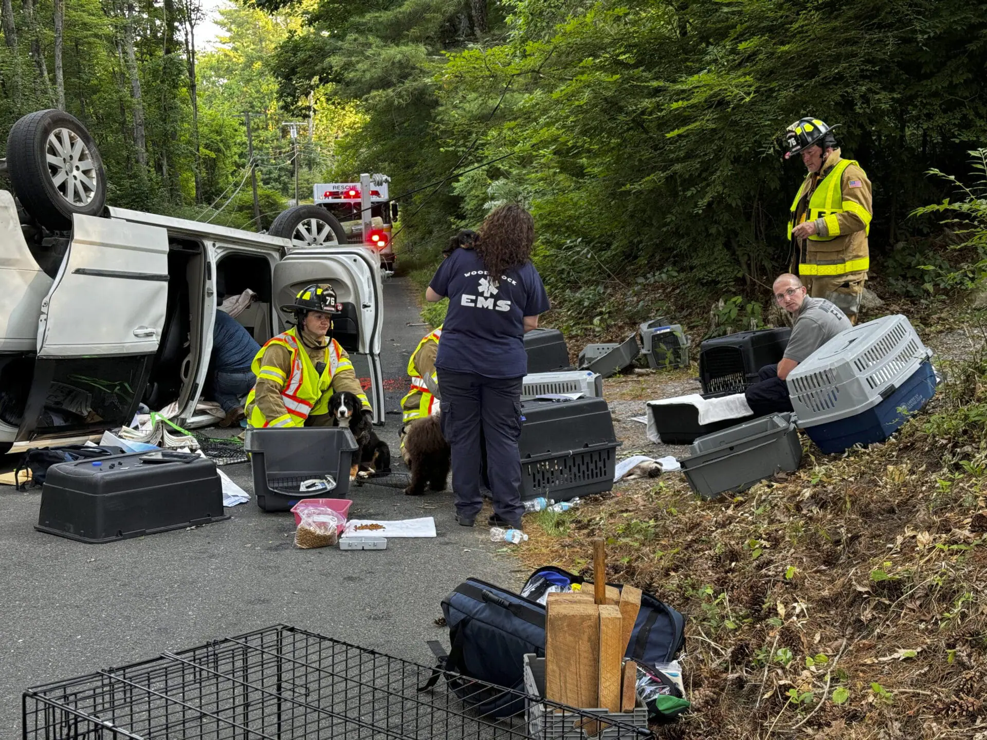 In this photo provided by Woodstock Volunteer Fire Association, a minivan carrying more than a dozen puppies hit a utility pole and rolled over in Woodstock, Conn., Thursday morning, June 20, 2024, injuring several dogs, authorities said. The driver was not seriously hurt, but several dogs were brought to a veterinarian center in nearby Massachusetts to be examined. (Josh Bottone/Woodstock Volunteer Fire Association via AP)