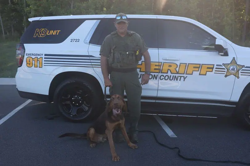 Deputy B. Belk and bloodhound “Remi” helped bring a nonverbal boy back home after he wandered off and was found walking alone on a North Carolina road. (Provided Photo/Union County Sheriff's Office via CNN Newsource)