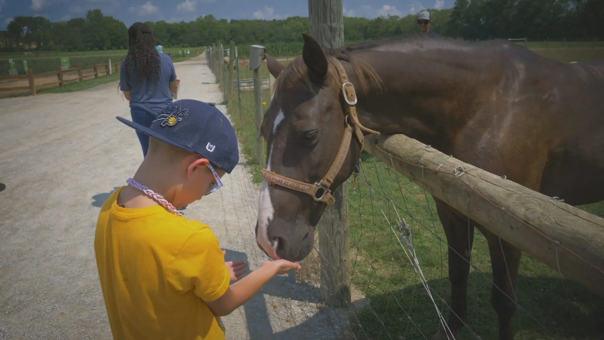 Along with 13 acres of fresh produce, a nature trail, and a nature-inspired play area, Fishers Agripark gives kids a chance to get hands-on experience with farm animals. (WISH Photo)