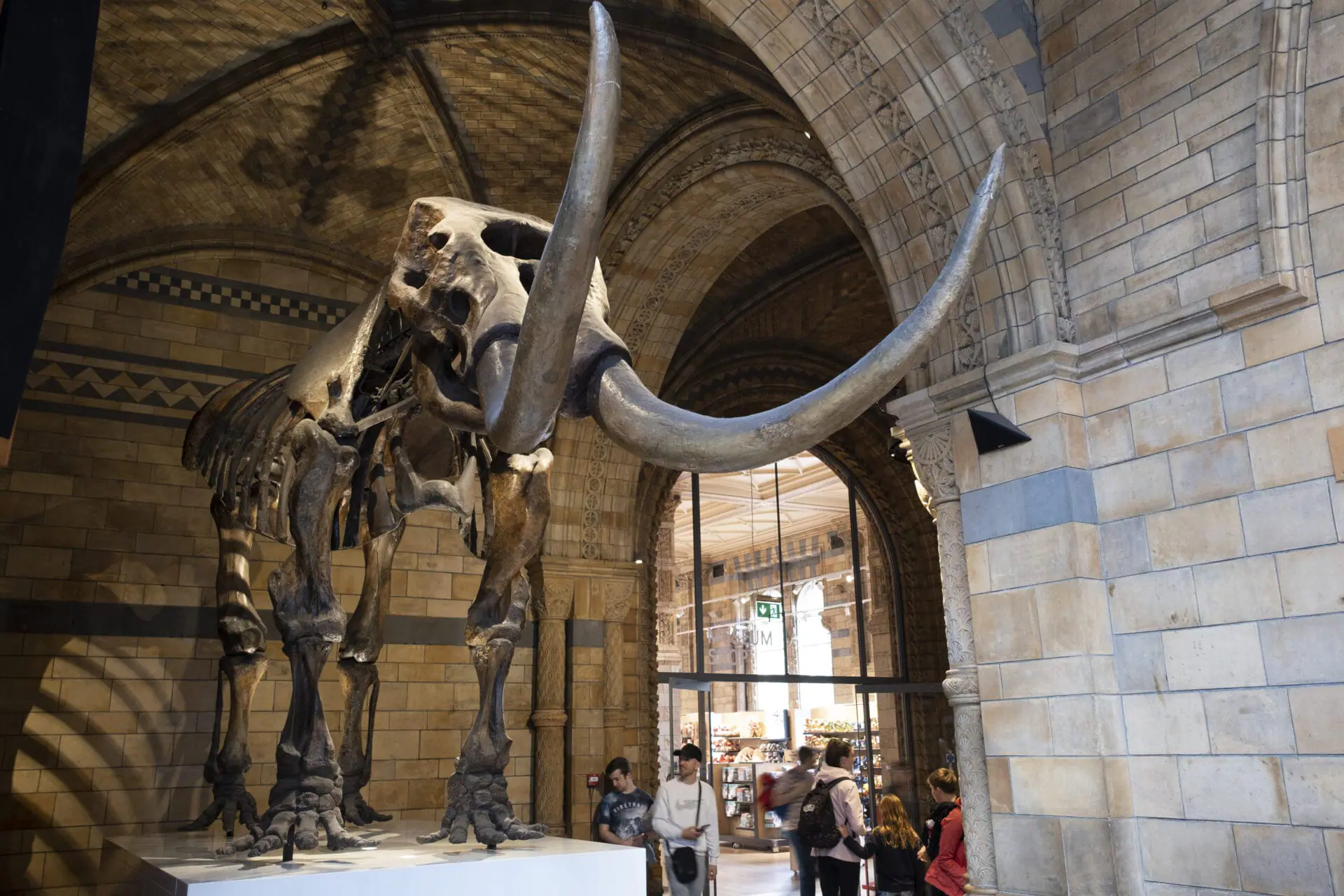 Fossilised skeleton of an American Mastodon, an Ice Age relative of the elephant at the Natural History Museum on 27th April 2022 in London, United Kingdom. Indiana U.S. Sen. and GOP gubernatorial nominee Mike Braun’s latest bill would officially name the mastodon as the first U.S. national fossil. (Photo by Mike Kemp/In Pictures via Getty Images)