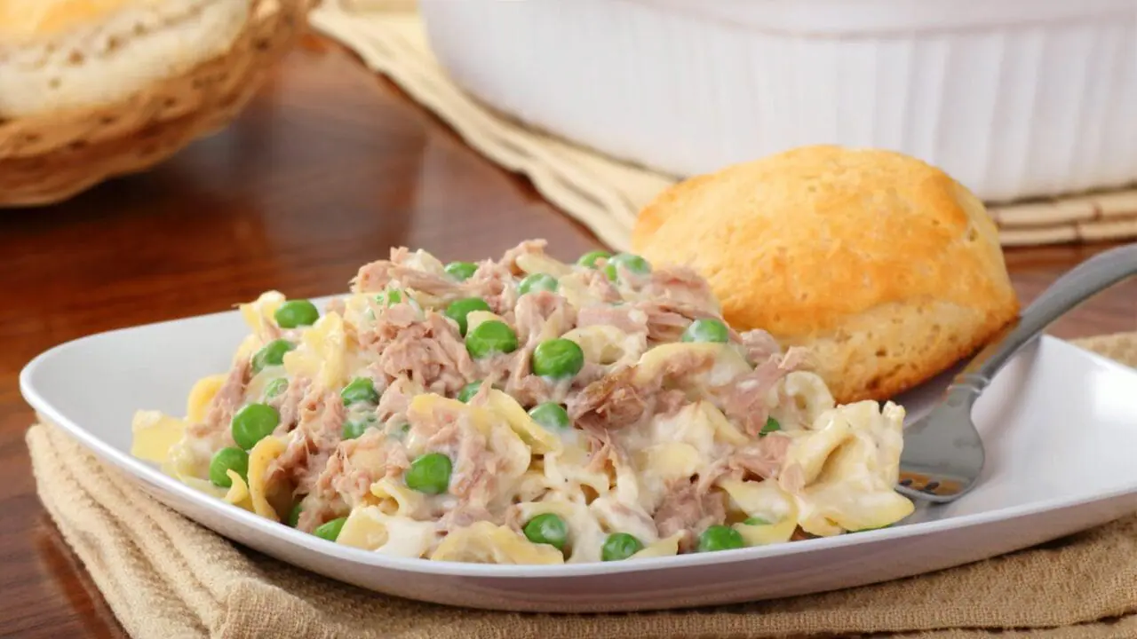 tuna noodle casserole plated with a biscuit