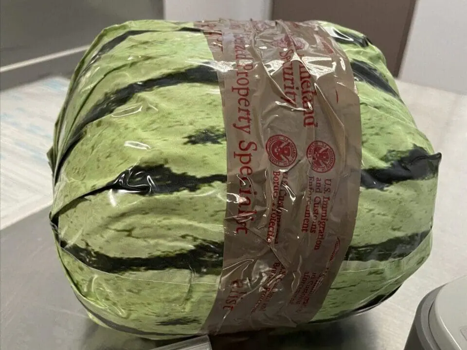 A fake watermelon, used to disguised a shipment of methamphetamines, is shown after a bust by U.S. Customs and Border Protection, Friday, Aug. 16, 2024, in Otay Mesa, Calif. (U.S. Customs and Border Protection via AP)