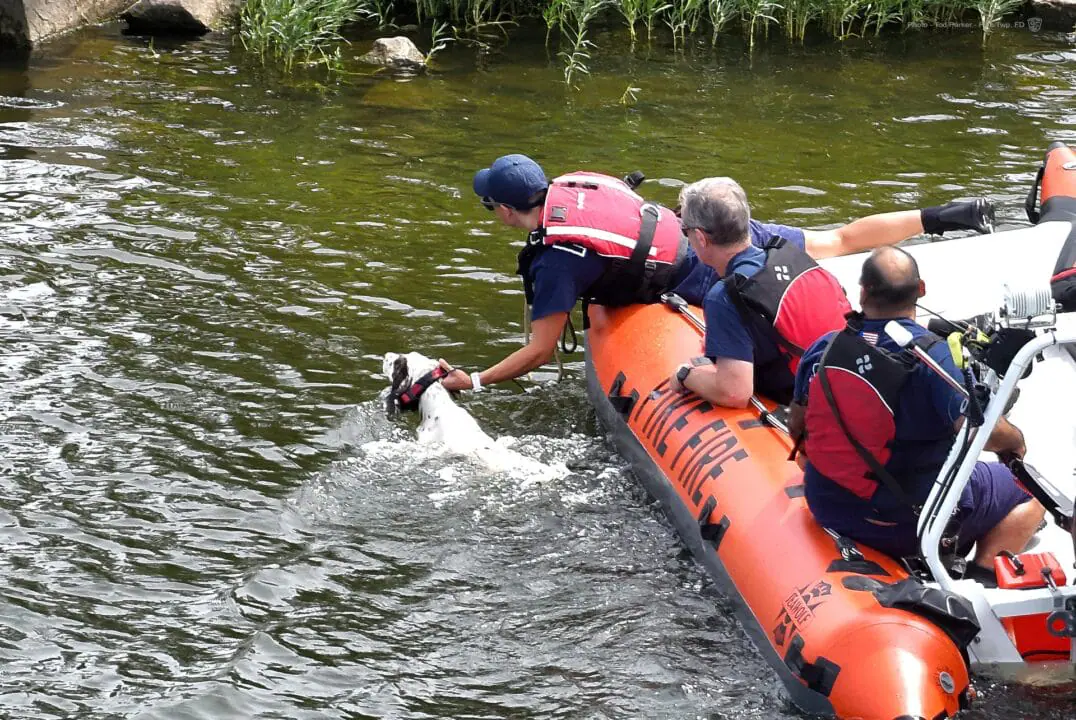 Crews from Station 62 were training on Boat 62 in Eagle Creek Reservoir when a man came up and asked them to save his dog. The dog had gone too far out while chasing ducks and was too tired to make it back to the shore. (Provided Photo/Pike Township FD via Facebook)