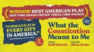 A promotional banner for "What the Constitution Means to Me." (Provided Photo/"What the Constitution Means to Me" via Facebook)