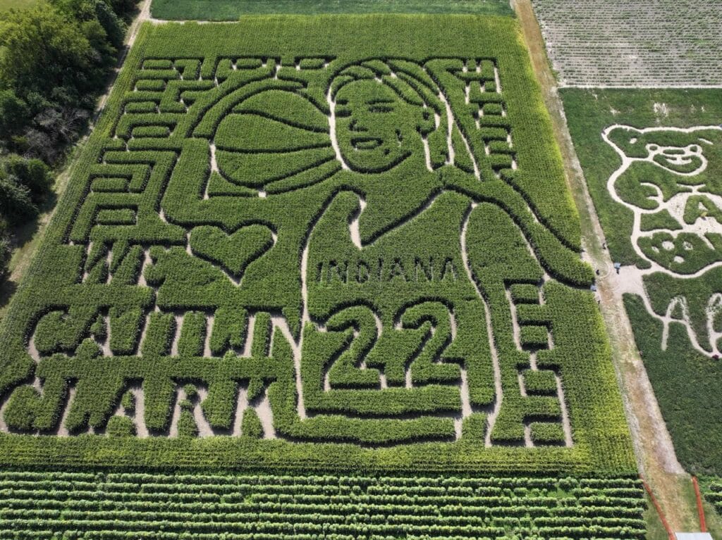 Caitlin Clark Corn Maze