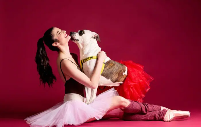 IACS’ loveable pups pose with Indy ballerinas