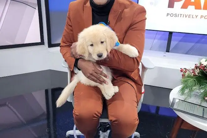 The cutest animals that visited WISH-TV in 2023