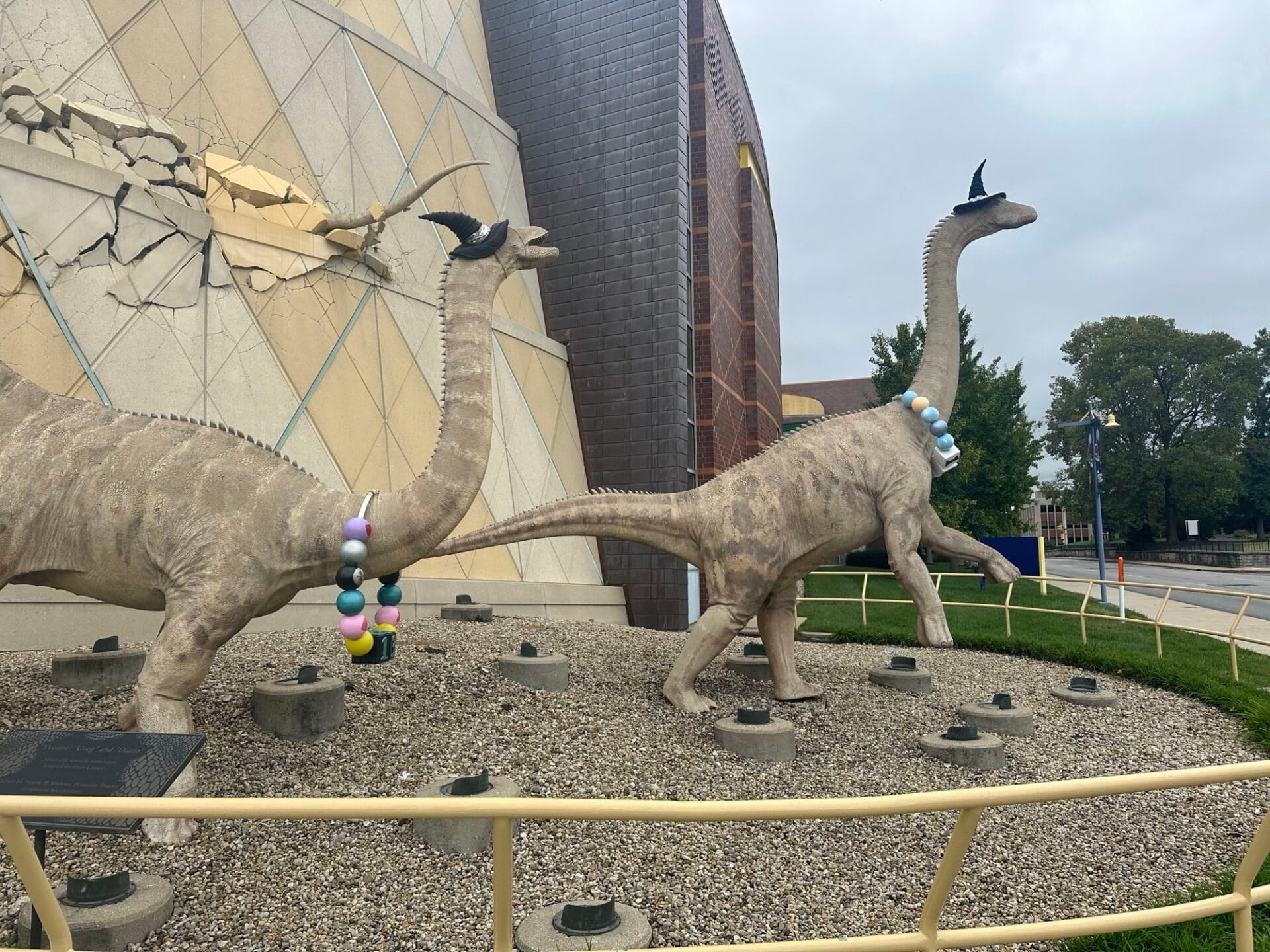 The iconic dinosaurs outside the Children's Museum of Indianapolis are dressed for the spooky season! Museum workers placed a witch hat on each of the two dinosaurs on Monday to begin the countdown to Halloween. The Children’s Museum Guild’s Haunted House is open Oct. 10—31. (WISH Photo)