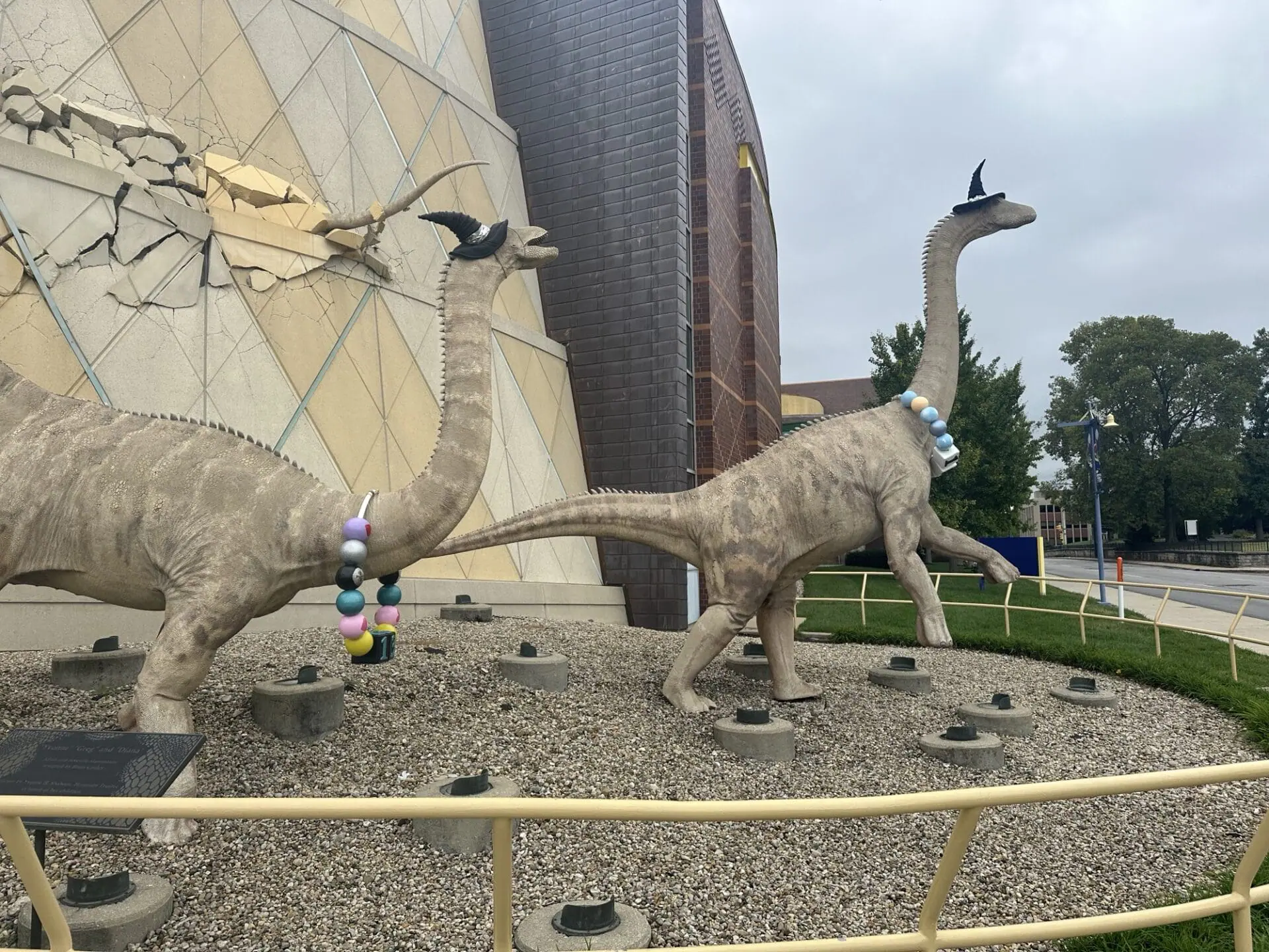 The iconic dinosaurs outside the Children's Museum of Indianapolis are dressed for the spooky season! Museum workers placed a witch hat on each of the two dinosaurs on Monday to begin the countdown to Halloween. The Children’s Museum Guild’s Haunted House is open Oct. 10—31. (WISH Photo)