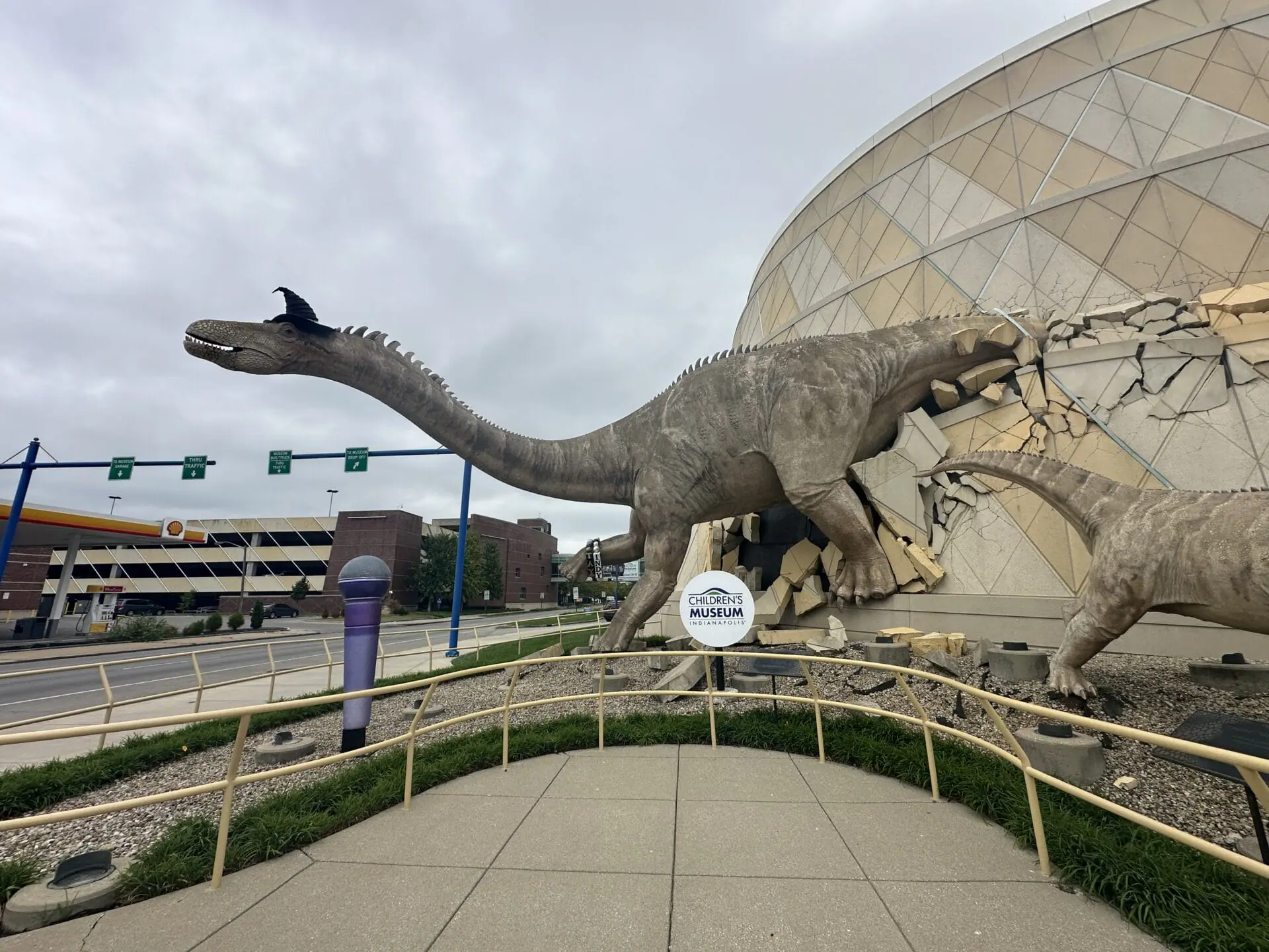 The iconic dinosaurs outside the Children's Museum of Indianapolis are dressed for the spooky season! Museum workers placed a witch hat on each of the two dinosaurs on Monday to begin the countdown to Halloween. The dinos are also wearing the Taylor Swift friendship 