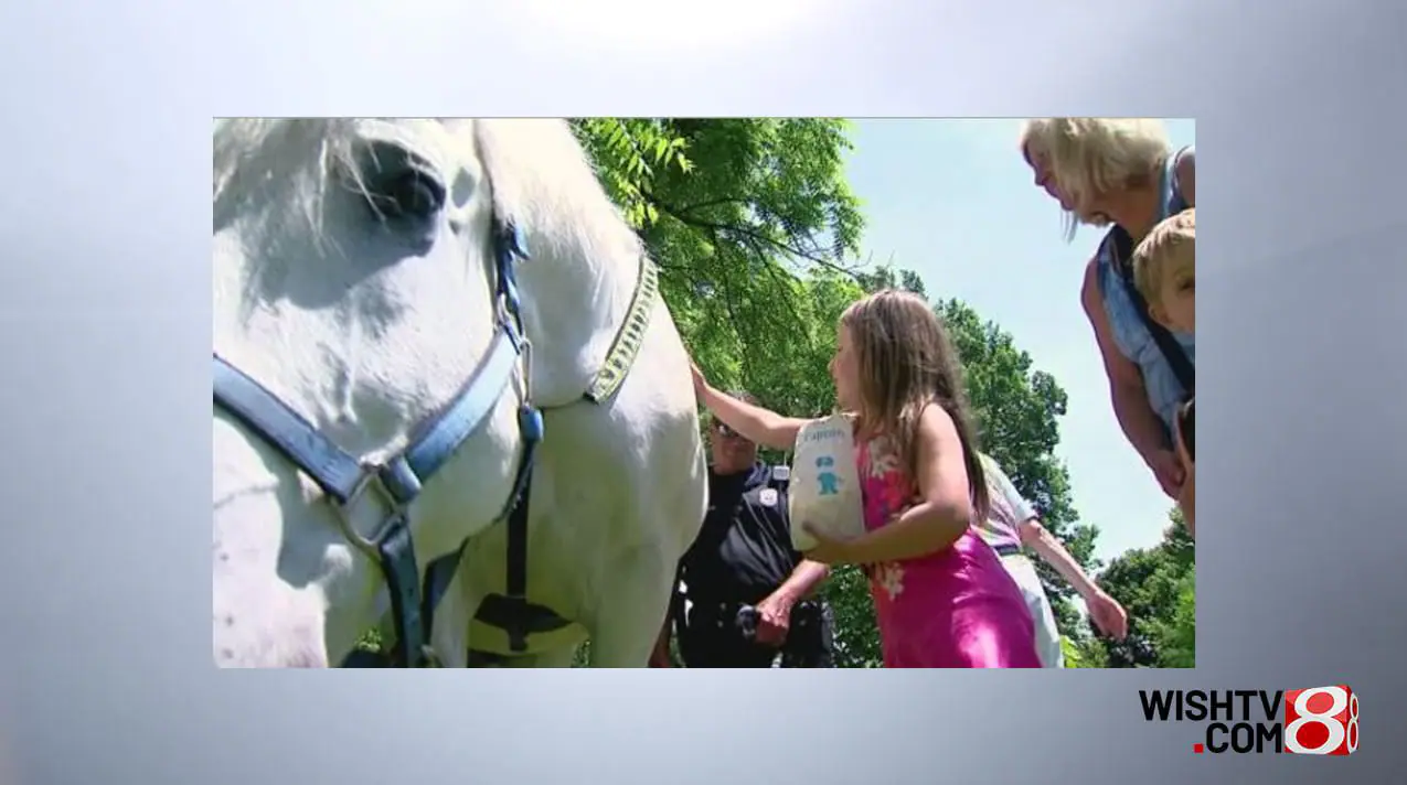 A girl pets a horse at IMPD North District Community Day in 2019. (WISH Photo, File)