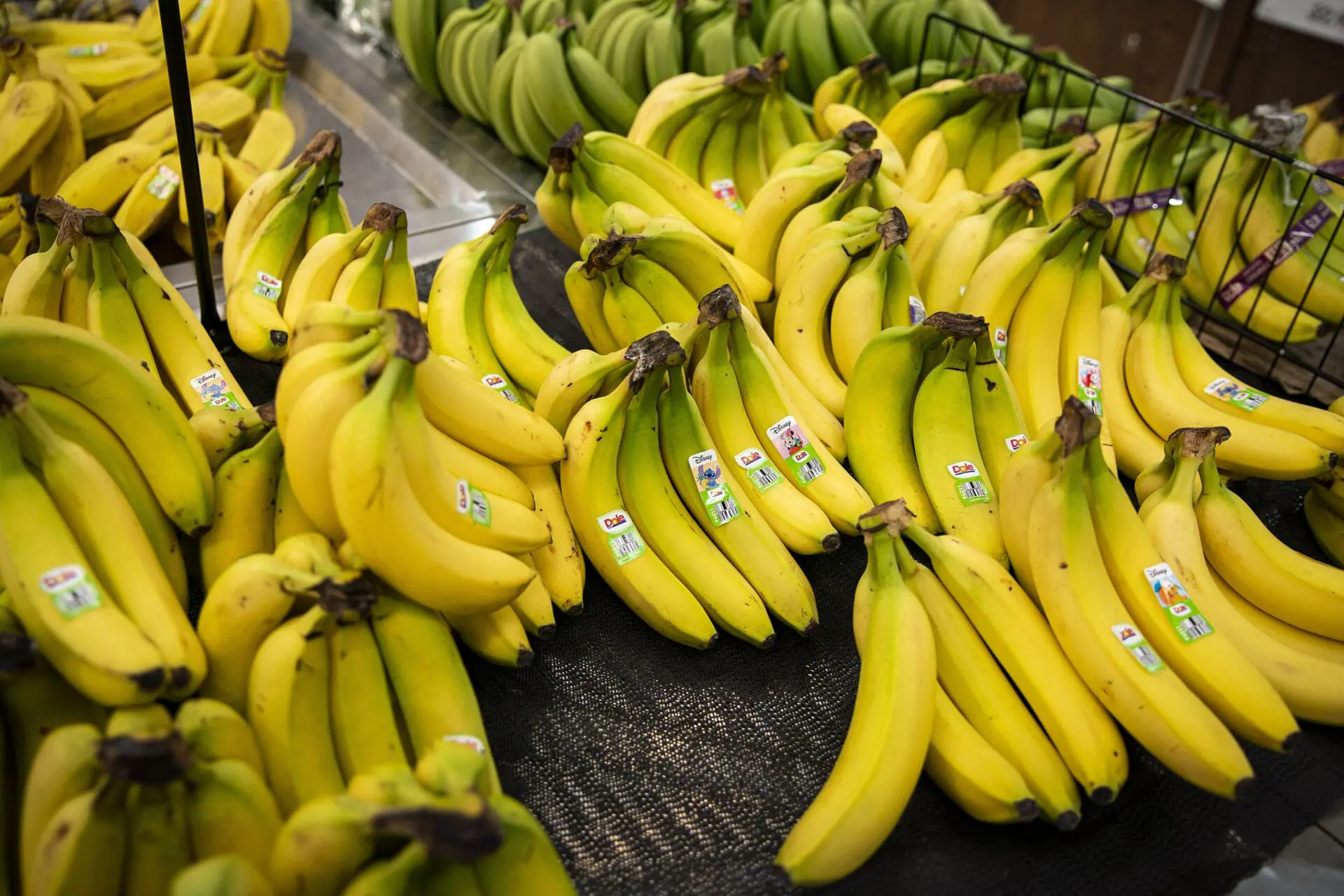 Dole bananas at a grocery store. America's most popular fruit could be in shorter supply if longshore workers at East and Gulf coast ports go on strike early Tuesday. (Photo by Al Drago/Bloomberg/Getty Images/File via CNN Newsource)