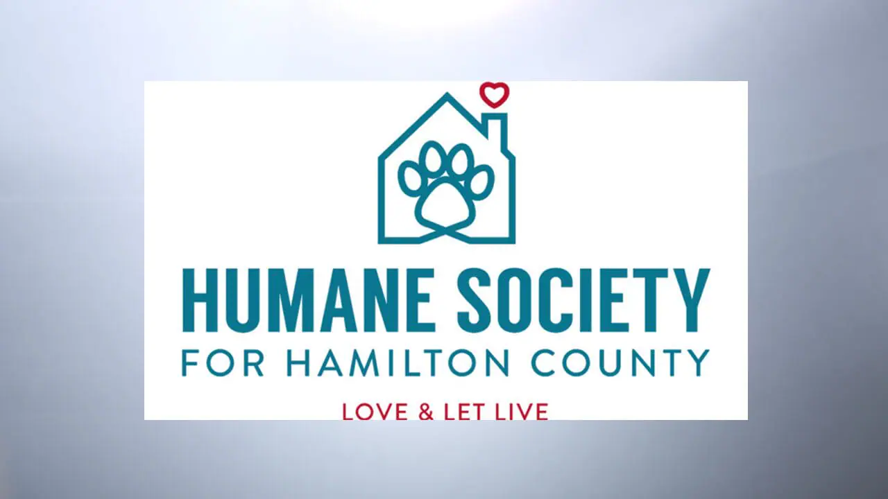 At 9:30 a.m. Monday, Oct. 7, the Humane Society for Hamilton County (HSHC), a beacon of hope for homeless pets, will benefit from the second annual Tom Greiwe Fall Classic Charity Golf Scramble. (Provided Photo/Humane Society for Hamilton County)