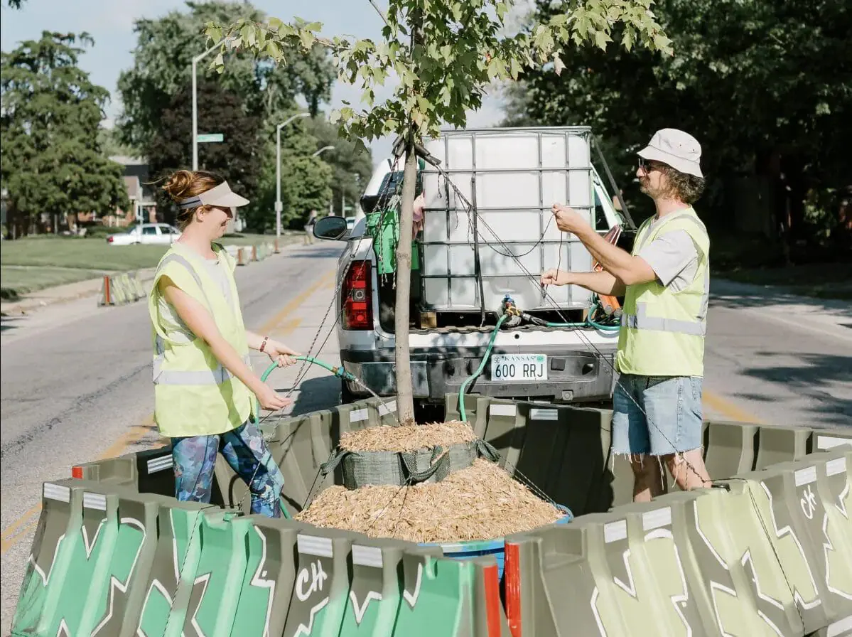 A tree is cared for along East 10th Street in August 2023, part of a set of barriers installed for a Community Heights Neighborhood Organization tactical urbanism project. (Provided Photo/Rebecca Shehorn Photography via Mirror Indy)