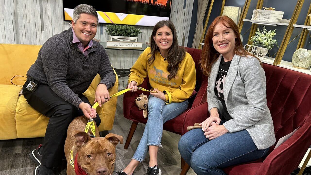 Howl and Wine event to raise money for Friends of Indy Animals