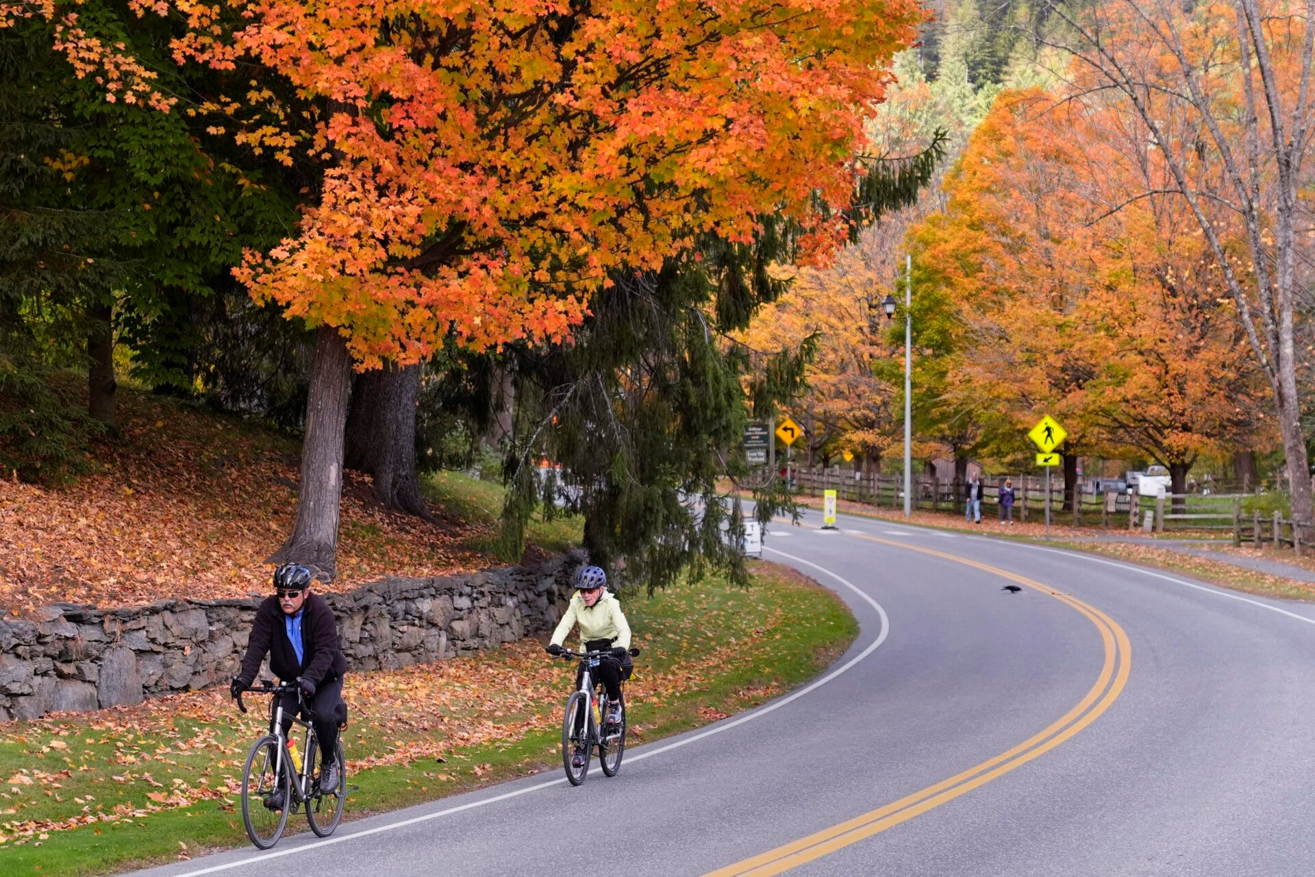 Two cyclists trek uphill, passing trees changing to Autumn colors, Thursday, Oct. 10, 2024, in Woodstock, Vt. (AP Photo/Charles Krupa)