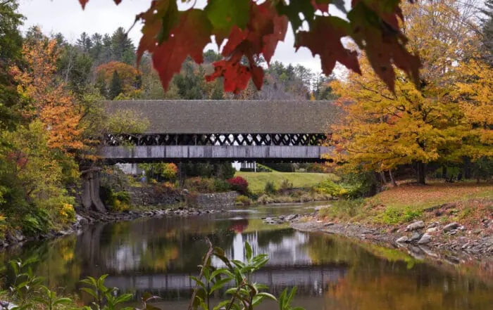 Fantastic fall foliage🍂