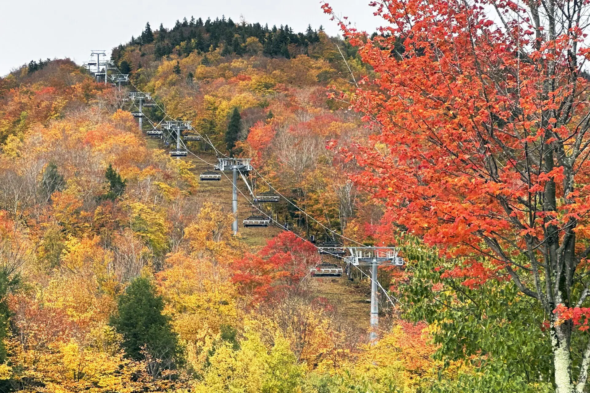 Fall colors are displayed on Loon Mountain near Lincoln, N.H., Tuesday, Oct. 15, 2024. (AP Photo/Nick Perry)