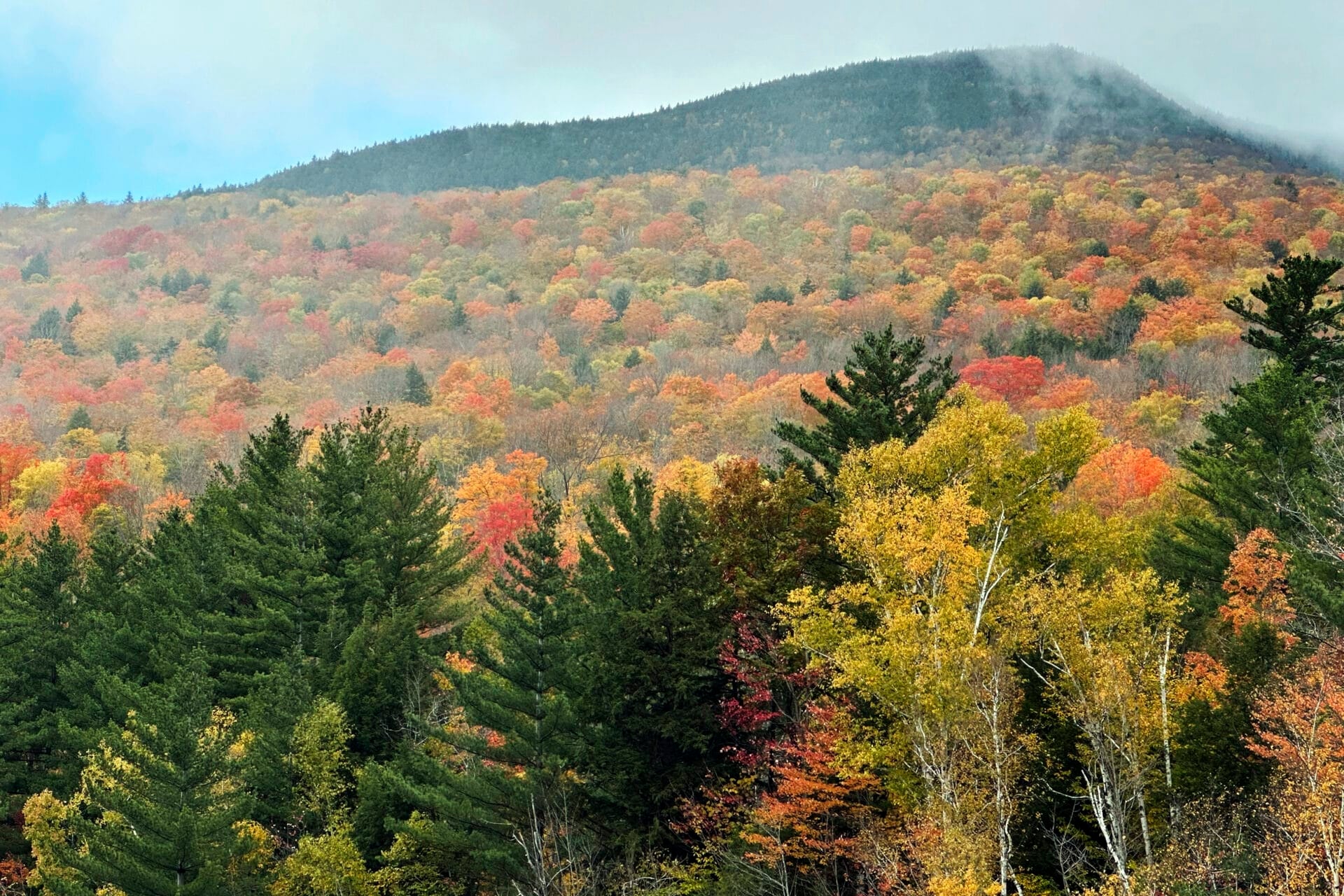 Fall colors are displayed on Loon Mountain near Lincoln, N.H., Tuesday, Oct. 15, 2024. (AP Photo/Nick Perry)