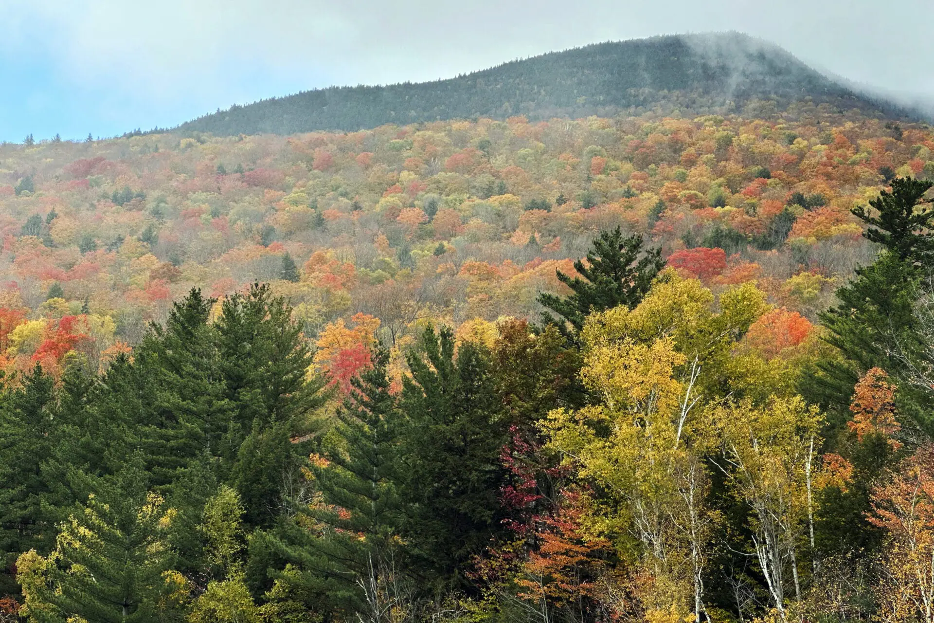 Fall colors are displayed on Loon Mountain near Lincoln, N.H., Tuesday, Oct. 15, 2024. (AP Photo/Nick Perry)